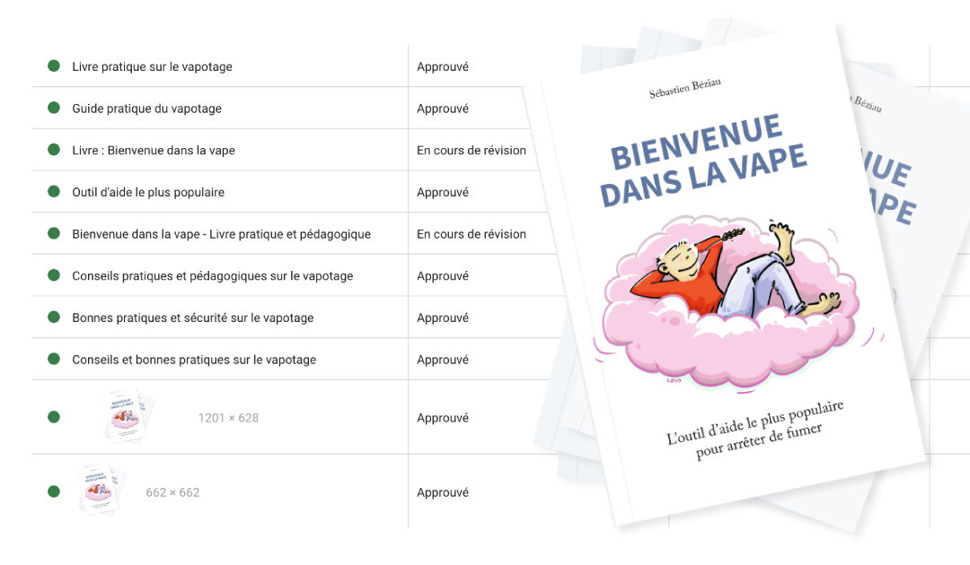 Google a approuvé une campagne de publicité pour le livre Bienvenue dans la vape