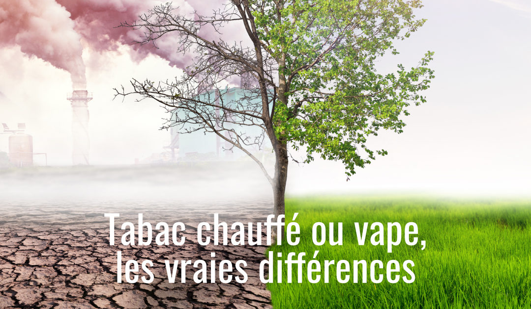 Les différences entre la vape et le tabac chauffé